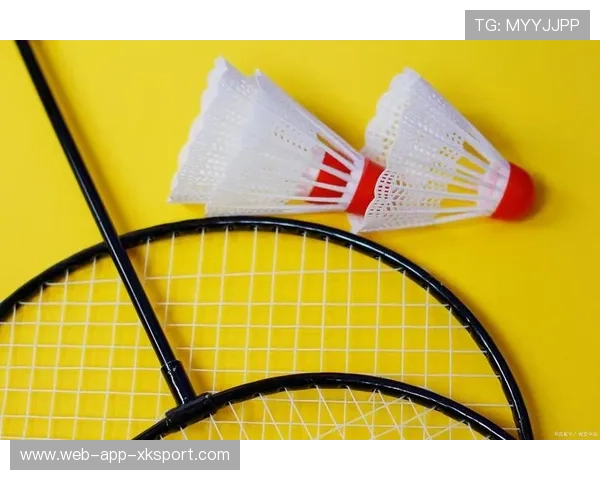 羽毛球球速破预测模型：引领竞技科学新潮流